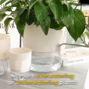 De Frisker™ | GroenGenot Zelfwaterende Bloempot